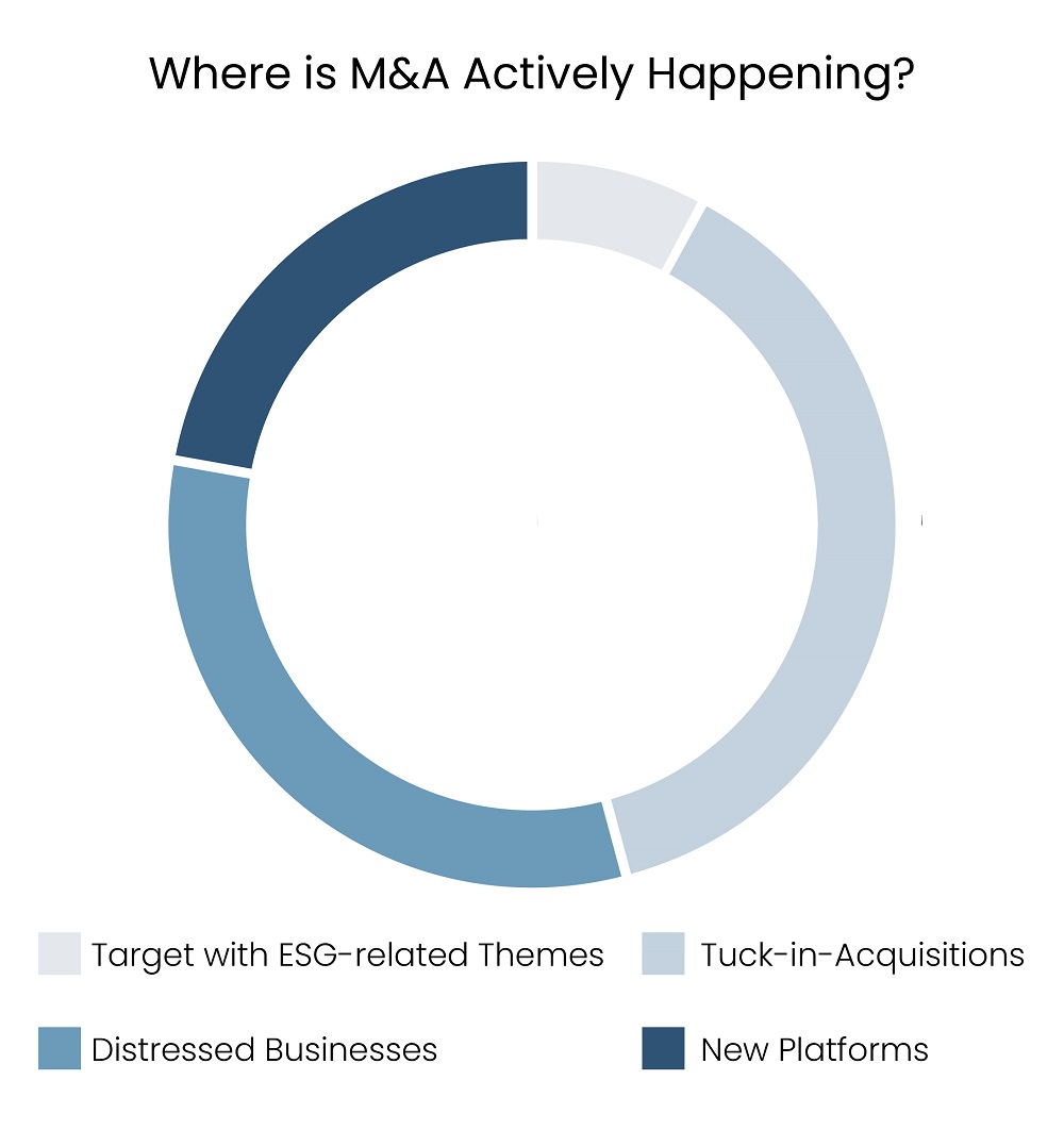 Survey Results for M&A Activity Areas in 2024