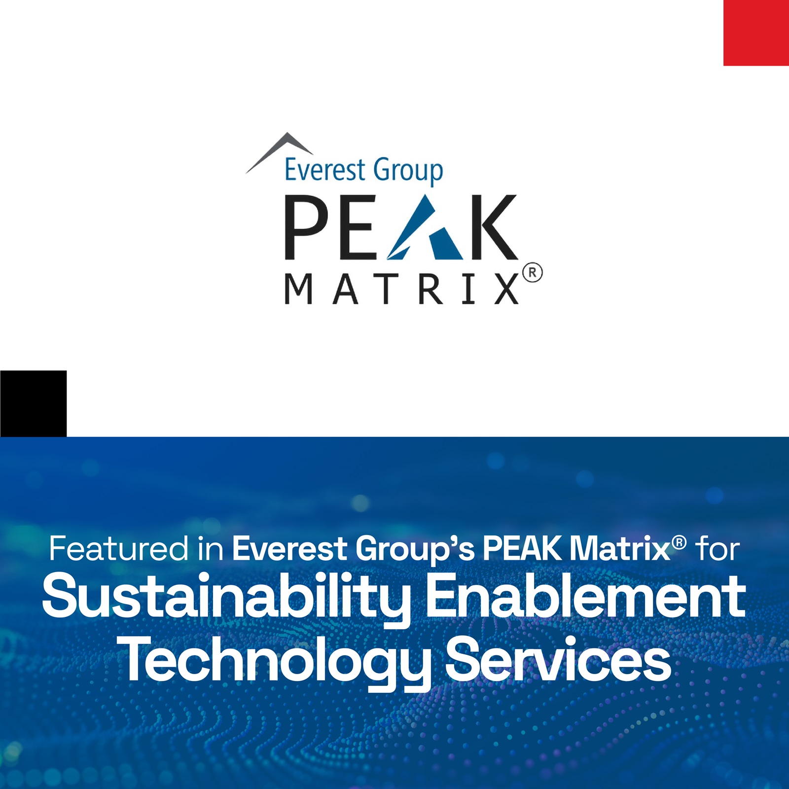 Everest Group’s PEAK Matrix® logo