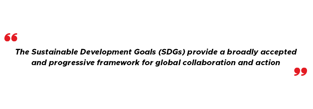 What are the Sustainable Development Goals (SDGs)? 