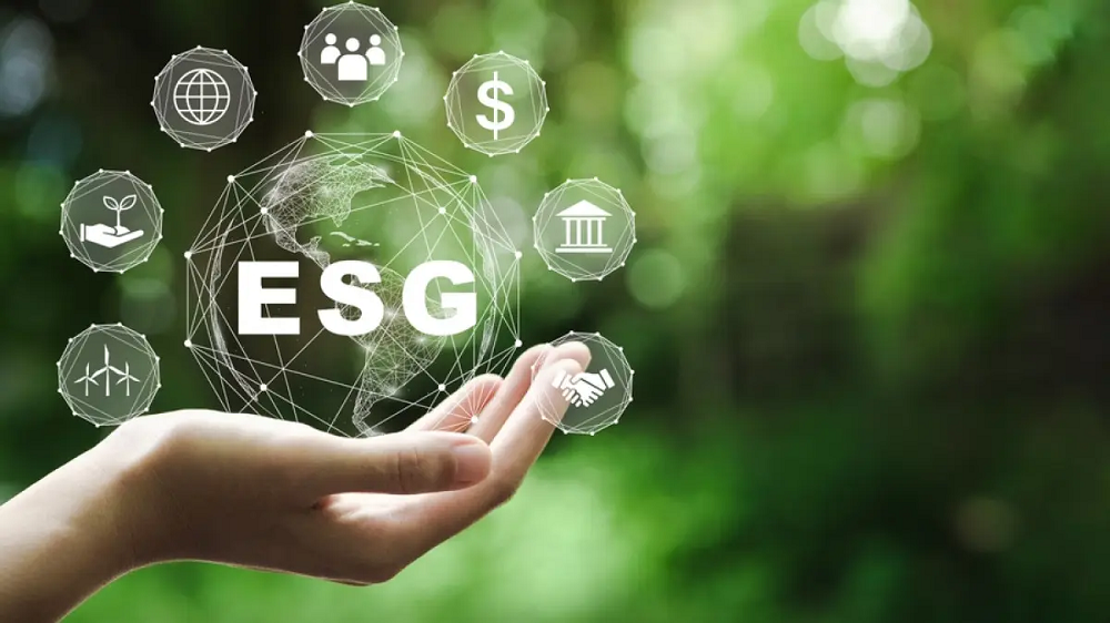 ESG value