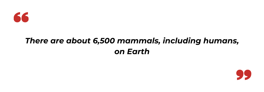 total species on earth